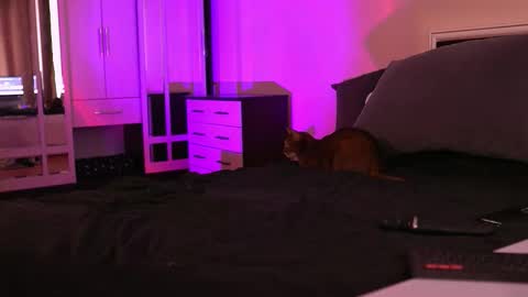 Snapshot of polusladkoye chatting on 09.17.25 Megan.online  online show from 09.17.25