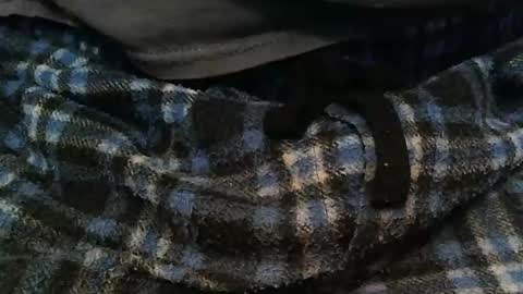 Snapshot of ratlesnk chatting on 11.16.25 boneifyed online show from 11.16.25