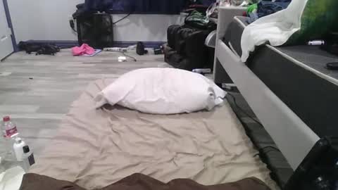 remshotdt online show from 02.24.25