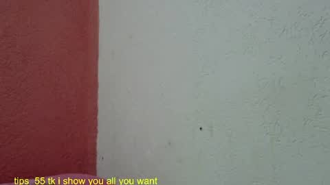 Snapshot of ronnispoto chatting on 01.27.25 ronny online show from 01.27.25