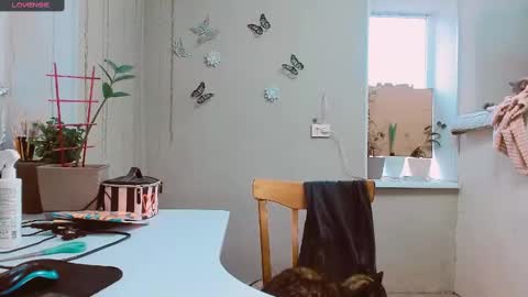 Snapshot of rosa843850 chatting on 02.02.25 rosa843850 online show from 02.02.25