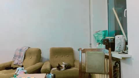 Snapshot of rosa843850 chatting on 02.28.25 rosa843850 online show from 02.28.25