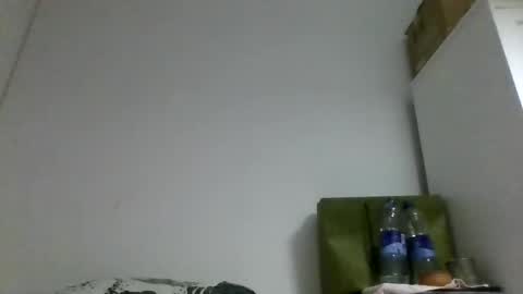 Rous online show from 10.22.25