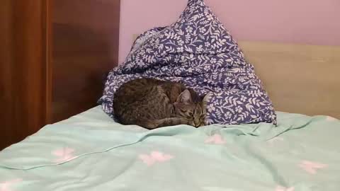 roxy secrets online show from 01.16.25