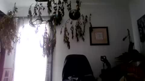 Snapshot of royboy2561 chatting on 10.10.25 Roy Murrin online show from 10.10.25