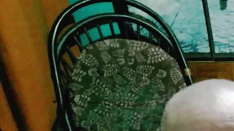 Snapshot of runnnaz chatting on 10.14.25 runnnaz online show from 10.14.25