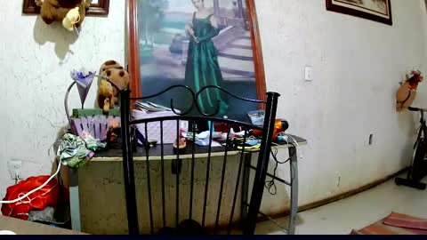 Snapshot of sailor_ruby7 chatting on 10.02.25 ruby  chocoholic cakeholic coffeeholic cookieholic online show from 10.02.25