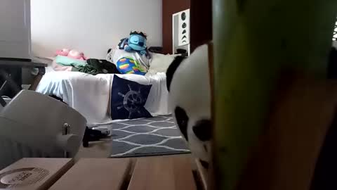 Snapshot of salis1981 chatting on 02.08.25 salis1981 online show from 02.08.25