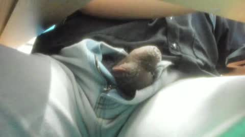 Snapshot of salvadorfaust_ chatting on 12.15.24 Salvador online show from 12.15.24