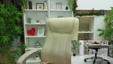 Snapshot of selinesole_ chatting on 12.12.24 Seline online show from 12.12.24