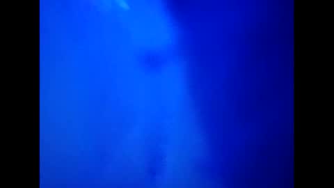 Camy Yamy online show from 02.26.25