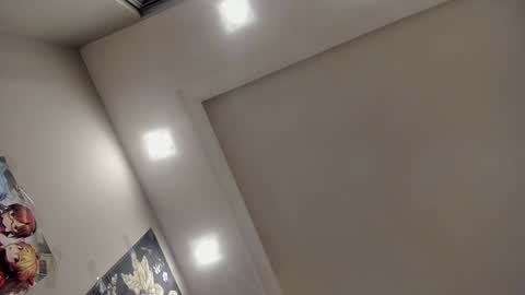 Snapshot of shadow_raffi chatting on 12.11.24 shadow_raffi online show from 12.11.24