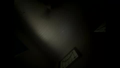 Snapshot of shaggydog774112 chatting on 12.10.24 shaggydog774112 online show from 12.10.24