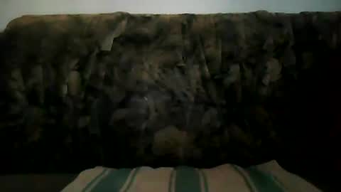 Snapshot of shaomy711 chatting on 01.19.25 excelo21 online show from 01.19.25