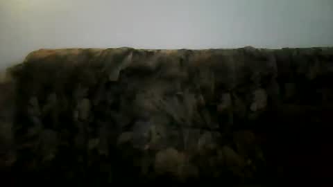 Snapshot of shaomy711 chatting on 02.02.25 excelo21 online show from 02.02.25