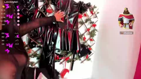 Snapshot of shengyi_blue chatting on 01.13.25  anyela7773 online show from 01.13.25