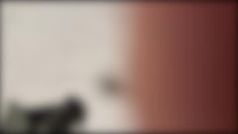 Snapshot of shifted1 chatting on 01.01.25 shifted1 online show from 01.01.25