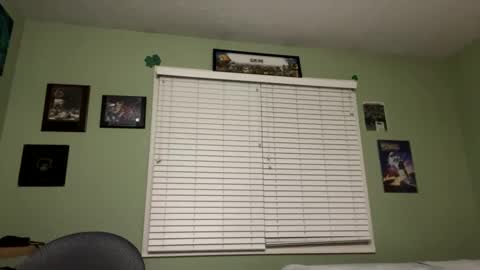 Snapshot of silentc0ck chatting on 01.31.25 silentcock online show from 01.31.25