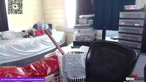 Snapshot of silver_willow chatting on 12.16.24 Willow online show from 12.16.24