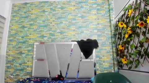 Snapshot of sirryant chatting on 02.02.25 SIR RYANT online show from 02.02.25