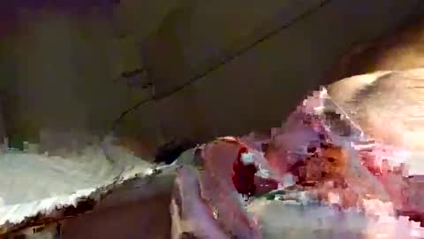 Snapshot of snooty05 chatting on 01.16.25 Snooty online show from 01.16.25