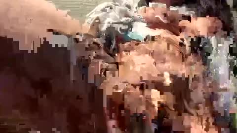 Snapshot of spicysam7901 chatting on 12.16.24 Sammi online show from 12.16.24