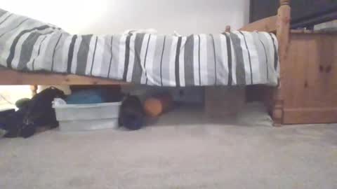 Snapshot of sportyguy283 chatting on 03.04.25 Sportyguy283 online show from 03.04.25