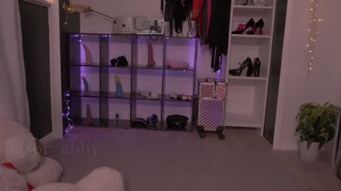 Snapshot of spr_abby chatting on 12.30.24 Abby online show from 12.30.24