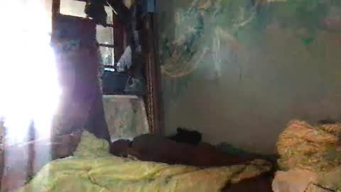 Snapshot of srekos38 chatting on 10.07.25 srekos38 online show from 10.07.25