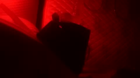 Dick online show from 10.22.25
