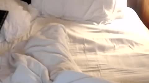 Snapshot of st8llion chatting on 01.24.25 st8llion online show from 01.24.25