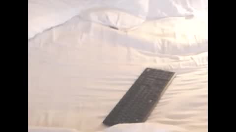 Snapshot of st8llion chatting on 11.08.25 st8llion online show from 11.08.25