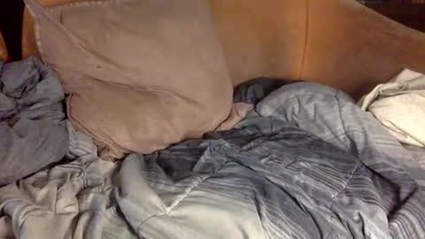 Snapshot of stevemason718 chatting on 02.20.25 STEVE CASHMASTER 1comedia online show from 02.20.25