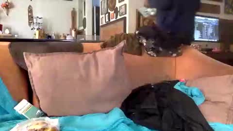 Snapshot of stevemason718 chatting on 02.25.25 STEVE CASHMASTER 1comedia online show from 02.25.25