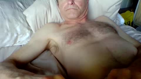 Snapshot of steviehard7 chatting on 02.11.25 steviehard7 online show from 02.11.25