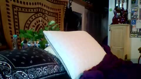 Snapshot of steviehard7 chatting on 02.12.25 steviehard7 online show from 02.12.25