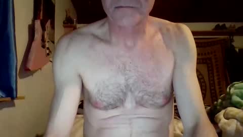 Snapshot of steviehard7 chatting on 03.08.25 steviehard7 online show from 03.08.25