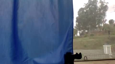 Snapshot of steviehard7 chatting on 03.11.25 steviehard7 online show from 03.11.25