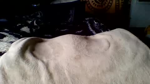 Snapshot of steviehard7 chatting on 03.12.25 steviehard7 online show from 03.12.25