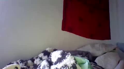 Snapshot of steviehard7 chatting on 10.11.25 steviehard7 online show from 10.11.25