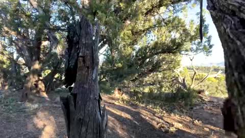 Snapshot of strangestag chatting on 10.06.25 Stag online show from 10.06.25