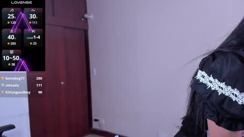 Snapshot of sumeragi_cat chatting on 12.13.24 Nicolle  online show from 12.13.24