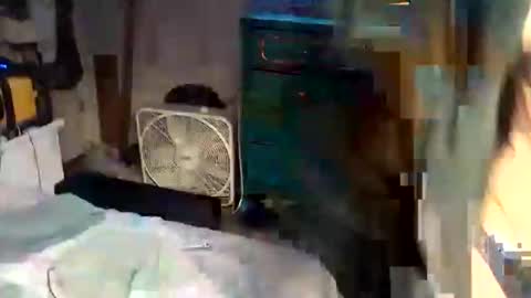 Snapshot of superdavedetailzz2025 chatting on 10.28.25 superdavedetailzz2025 online show from 10.28.25