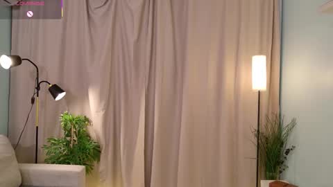 Snapshot of swa1_lee chatting on 10.20.25 swa1_lee online show from 10.20.25