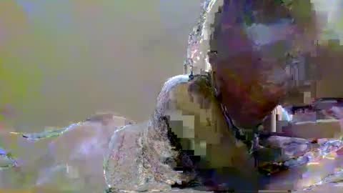 Snapshot of sweetvalk20 chatting on 02.25.25 sweetvalk20 online show from 02.25.25