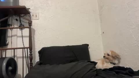 Snapshot of talenjames chatting on 09.28.25 Talen James online show from 09.28.25