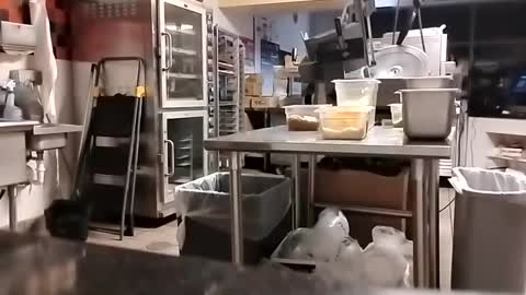 Snapshot of talldrink62 chatting on 09.10.25 The Man of Steel online show from 09.10.25