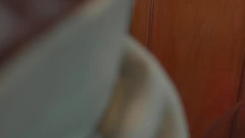 Snapshot of tamyeliot chatting on 10.05.25 Tamy online show from 10.05.25