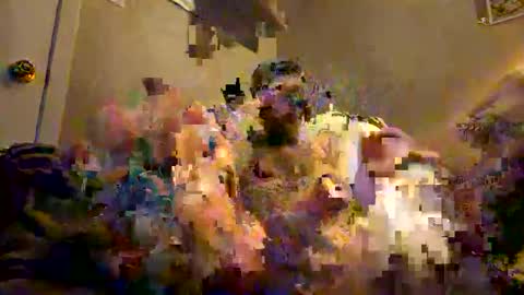 Snapshot of tatt2dood chatting on 11.17.25 tatt2dood online show from 11.17.25