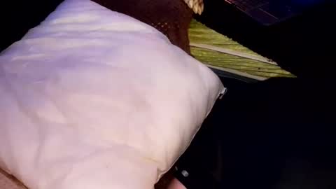 Snapshot of tattooman777 chatting on 10.31.25 Jean pool online show from 10.31.25